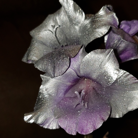 C.i.a.m. New&Worn - Picture 3 of 7